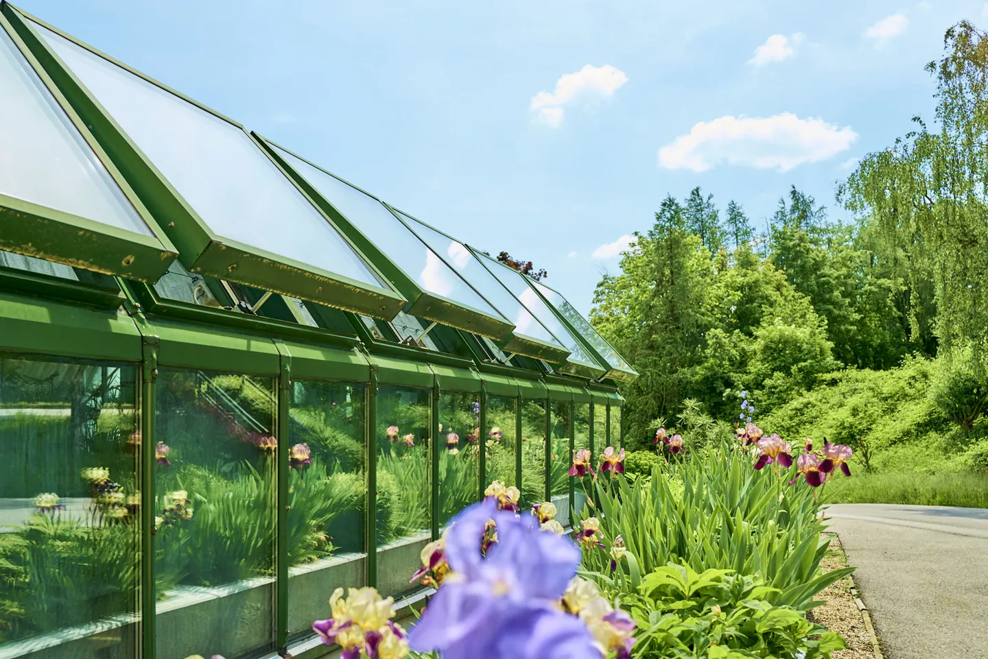 Besuche - Therapiegarten des AUVA-RZ Weißer Hof mit Glashaus, vor dem Blumen blühen Therapiegarten des AUVA-RZ Weißer Hof mit Glashaus, vor dem Blumen blühen
