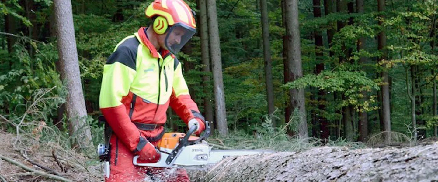 Forstseite-Beitrag-credit ChristianLackner-Bundesforschunszentrum-fuer-Wald Forstarbeiter mit Schutzausrüstung schneidet mit der Motorsäge einen umgefallenen Baumstamm.