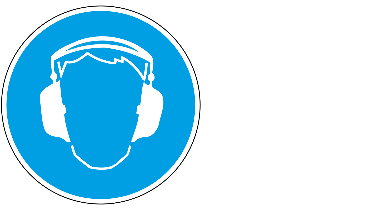 Gebotszeichen Gehörschutz tragen