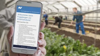 Arbeitsanalyse in der Gärtnerei mittels Kurzfragebogen.