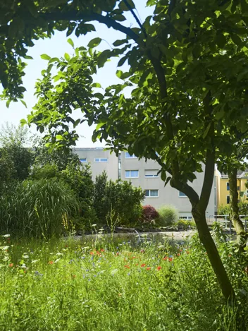 Gartenanlage des UKH Klagenfurt am Wörthersee, mit bunter Blumenwiese und schattenspendenden Bäumen. Gartenanlage des UKH Klagenfurt am Wörthersee, mit bunter Blumenwiese und schattenspendenden Bäumen.