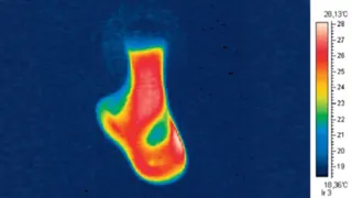 Thermografie Thermografie: Griff Gehstock nach 60s halten