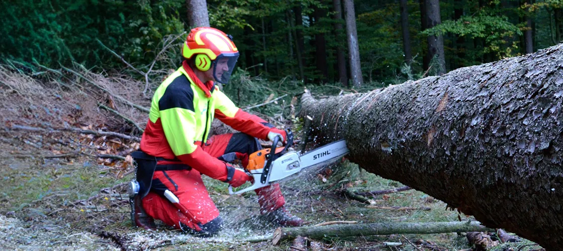 Forst SVP Blog 1440 Credit Christian Lacknerbundesforschungszentrum Für Wald 3 Knieender Waldarbeiter schneidet liegenden Baumstamm mit der Motorsäge