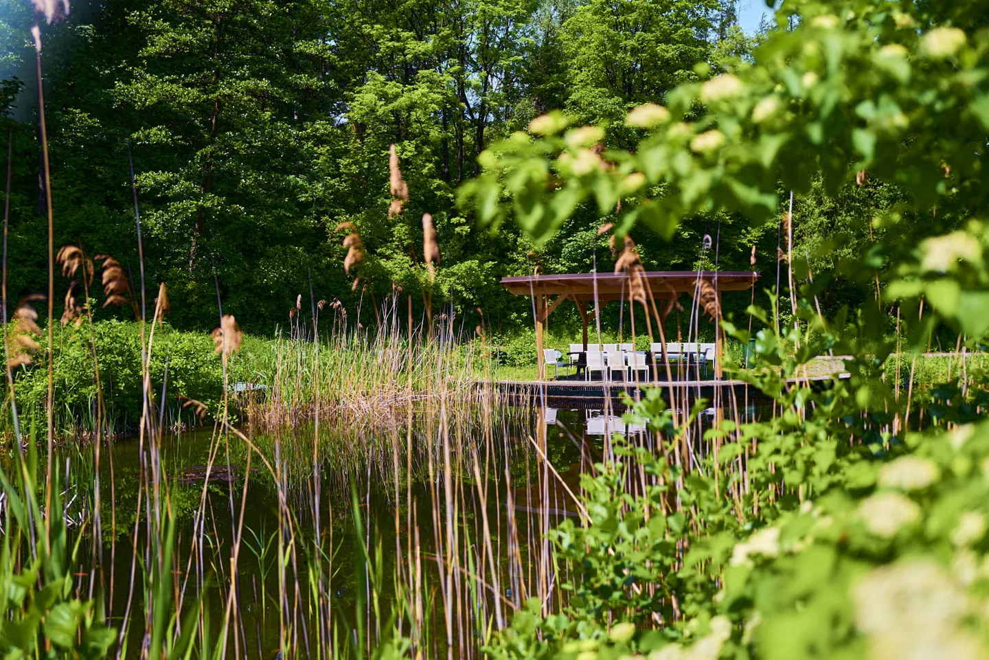 Besuche - Blick auf einen Teich mit überdachtem Sitzplatz nahe dem AUVA-RZ Weißer Hof Blick auf einen Teich mit überdachtem Sitzplatz nahe dem AUVA-RZ Weißer Hof