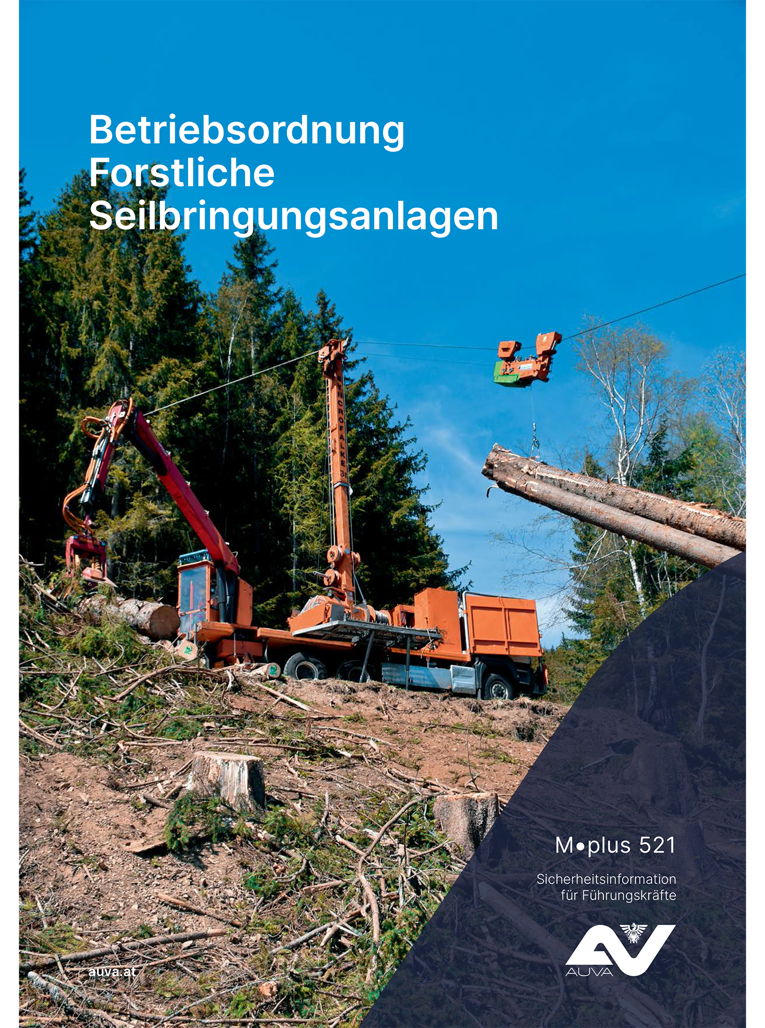 Titelbild des Merkblattes "M.plus 521 Betriebsordnung Forstliche Seilbringungsanlagen"